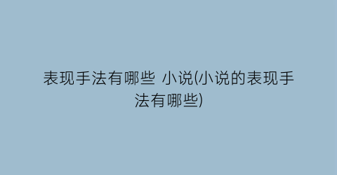 表现手法有哪些 小说(小说的表现手法有哪些)